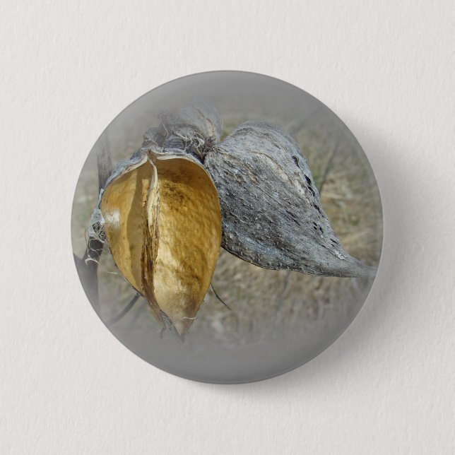 Milkweed Pods 2 Inch Round Button (Front)