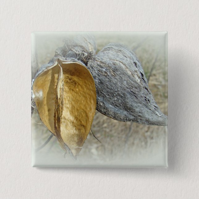 Milkweed Pods 2 Inch Square Button (Front)