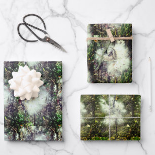 Milkweed Pods, Seeds and Silk Recoleta Wrapping Paper Sheet