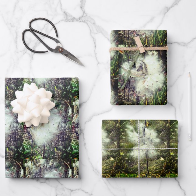 Milkweed Pods, Seeds and Silk | Recoleta | Wrapping Paper Sheet (Front)