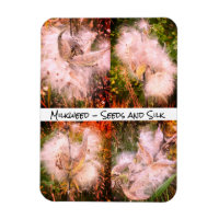 Milkweed | Sangria Flexible