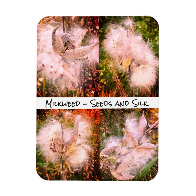 Milkweed | Sangria Flexible Magnet (Vertical)