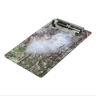 Milkweed Seeds and Silk Mini Clipboard