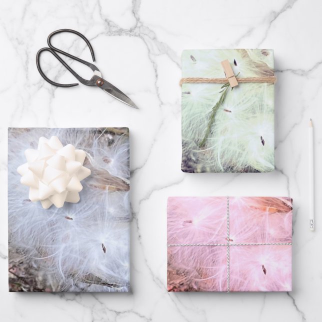 Milkweed Seeds and Silk Wrapping Paper Sheet (Front)