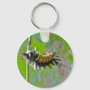 Milkweed Tussock Moth Caterpillar Items Keychain
