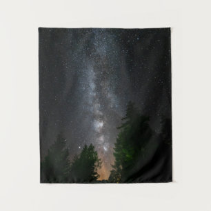Milky way above spruce forest tapestry