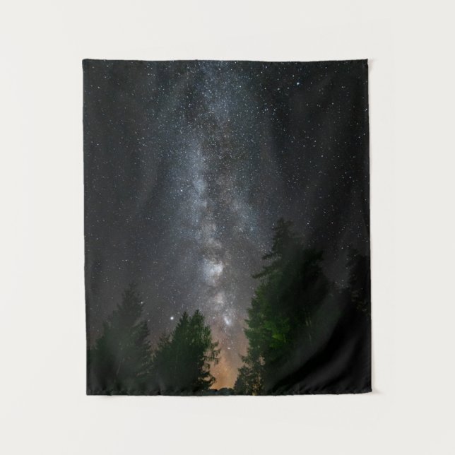 Milky way above spruce forest tapestry (Front)