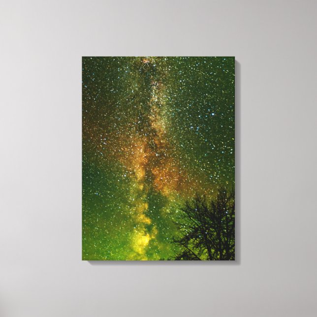 Milky Way & Aurora Borealis | Ontario Canada Canvas Print (Front)
