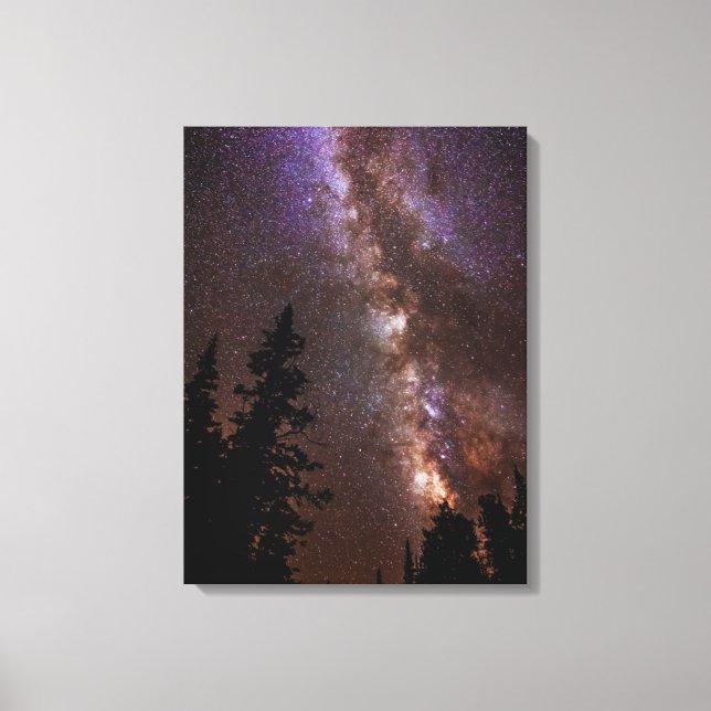 Milky Way | Cedar Breaks National Monument Utah Canvas Print (Front)