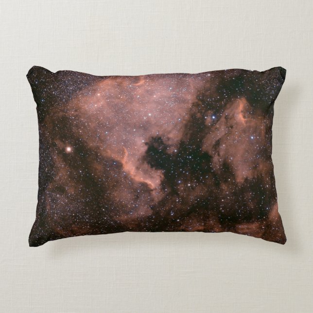 Milky way galaxy accent pillow (Front)