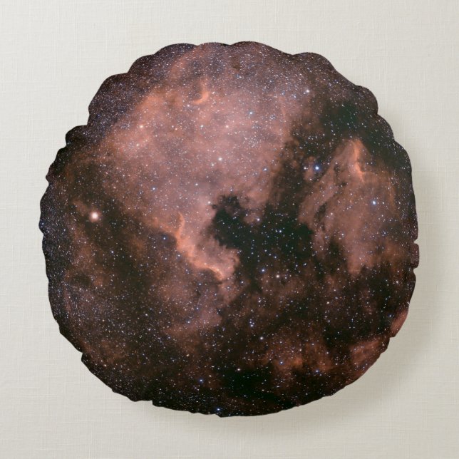 Milky way galaxy round pillow (Front)