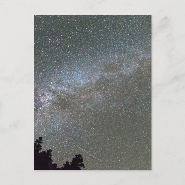 Milky Way Perseid Meteor Shower Postcard (Front)