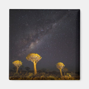 Milky Way Quiver Tree Keetmanshoop Namibia Magnet