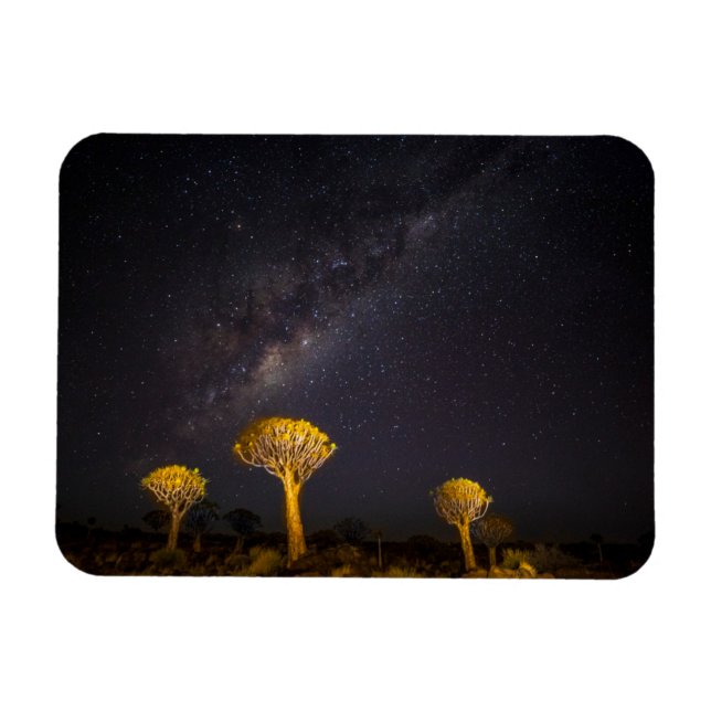 Milky Way Quiver Tree | Keetmanshoop Namibia Magnet (Horizontal)