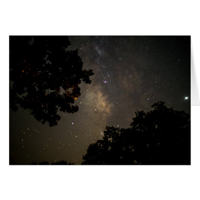 Milky Way Trees (Front Horizontal)
