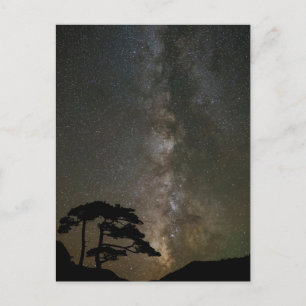 Milky Way with Tree Ouray Colorado Postcard