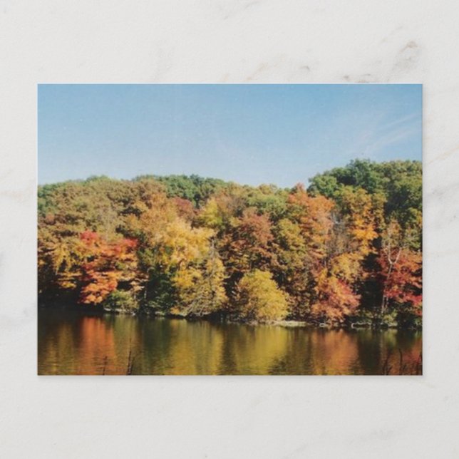 MILLCREEK POSTCARD (Front)