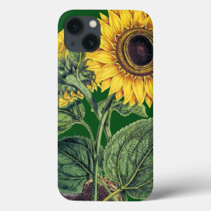 Miller: Sunflower iPhone 13 Case