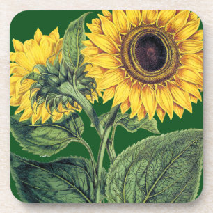 Miller: Sunflower Coaster