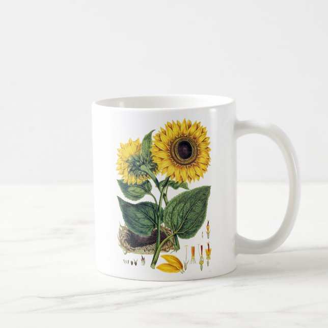 Miller: Sunflower Coffee Mug (Right)