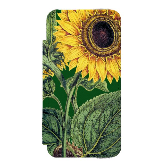 Miller: Sunflower Incipio iPhone Wallet Case (Folio Front)