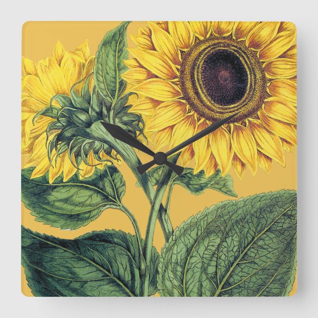 Miller: Sunflower Square Wall Clock (Front)