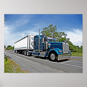 Miller's W900L Poster