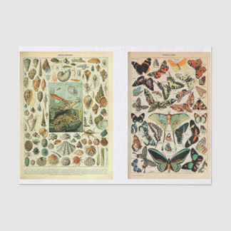 Millet Pages Tissue Paper