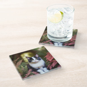 Millie The Ragdoll Cat, Glass Coaster