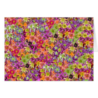 Milliers de Daylilies !