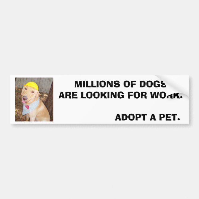 MILLIONS OF DOGS ARE LOOKING FOR WORK. BUMPER STICKER (Front)