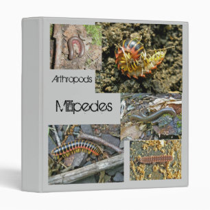 Millipede Series Items Binder