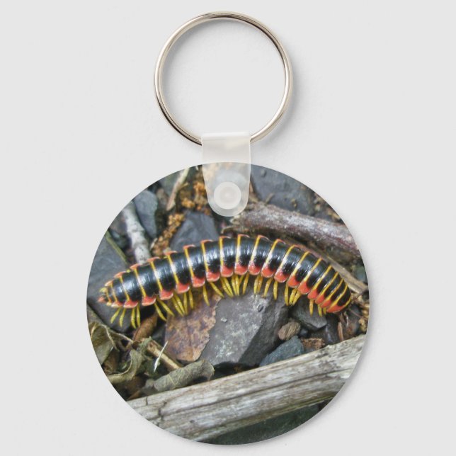 Millipede Series Items Keychain (Front)