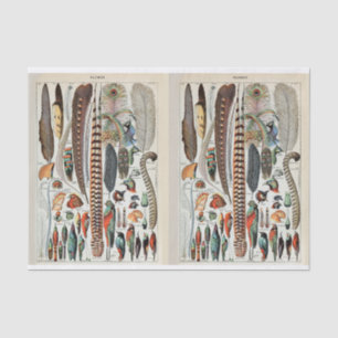 Millot Illustrations, Bird Feathers, Decoupage Tissue Paper