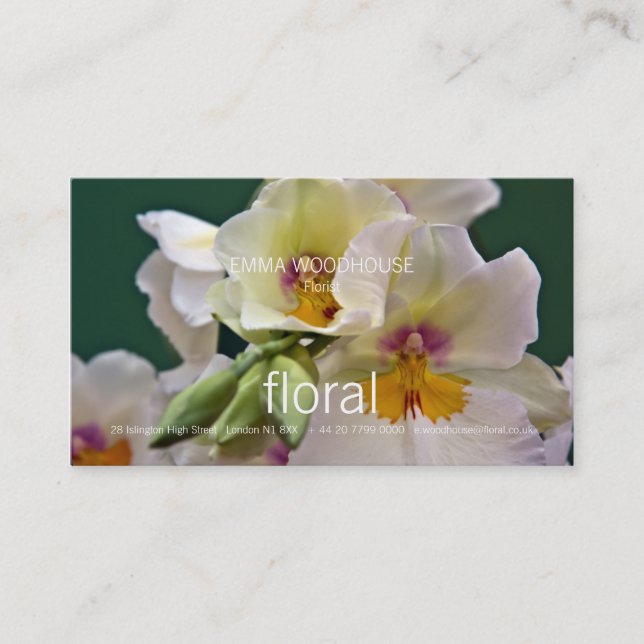 Miltonia Orchid • Business Card (Front)