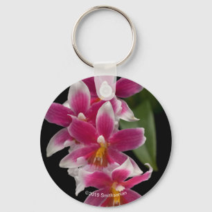 Miltonioda Sakura Keychain