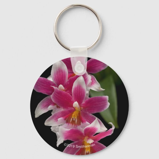 Miltonioda Sakura Keychain (Front)