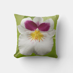 Miltoniopsis Roezlii (Pansy Orchids) Throw Pillow