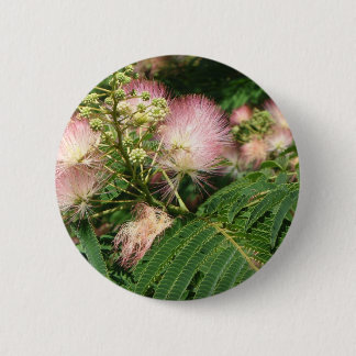 mimosa  blooming 2010 2 inch round button
