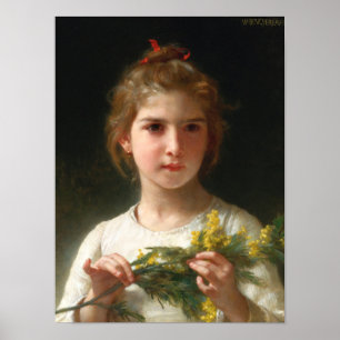 Mimosa by William Bouguereau Poster