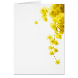 Mimosa Card