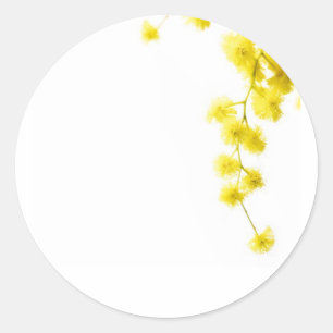 Mimosa Classic Round Sticker