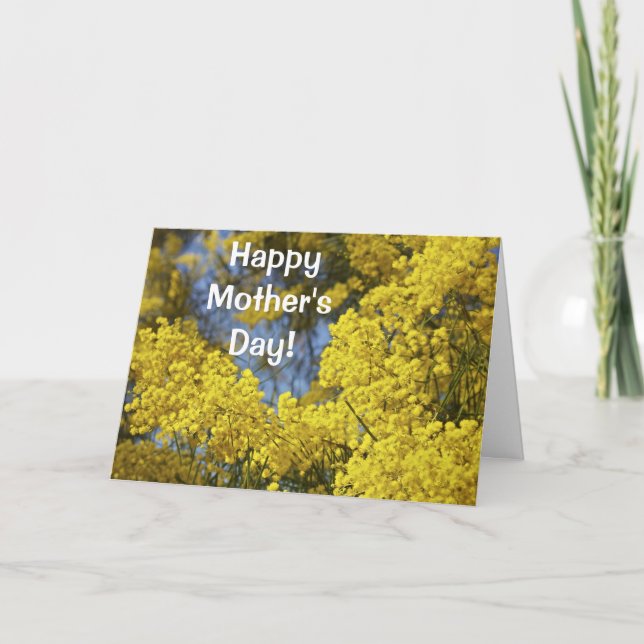 Mimosa In Bloom Mother's Day Card (Front)