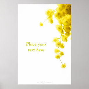 Mimosa Poster