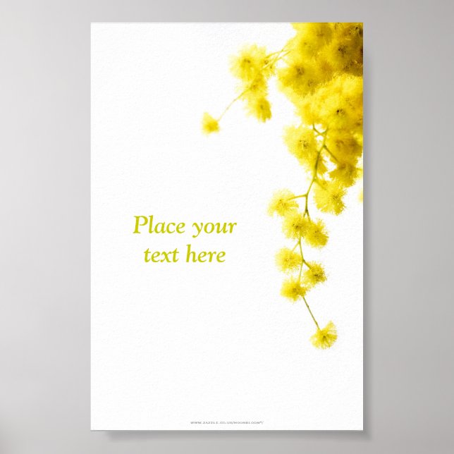 Mimosa Poster (Front)