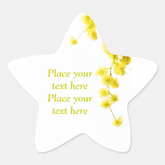 Mimosa Star Sticker (Front)