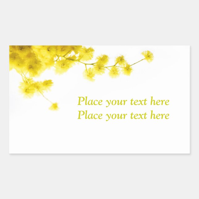 Mimosa Sticker (Front)