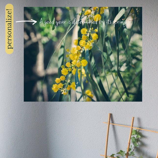 Mimosa Tree with Yellow Flowers Poster (Creator Uploaded)