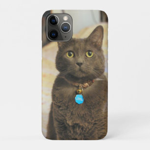 Mims iPhone 11 pro case
