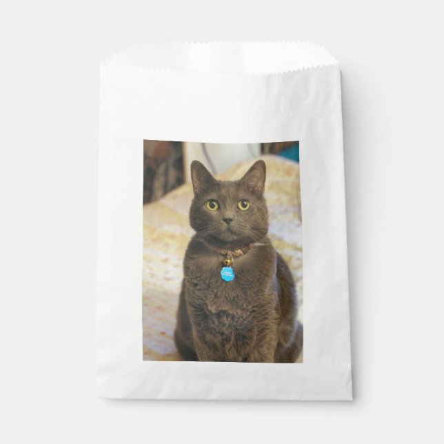 Mims   favour bag (Front)